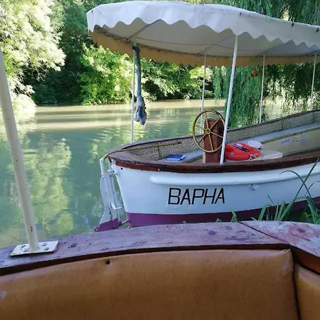 камчия, делфин Bliznatsi