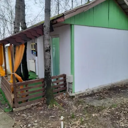 камчия, делфин Bliznatsi