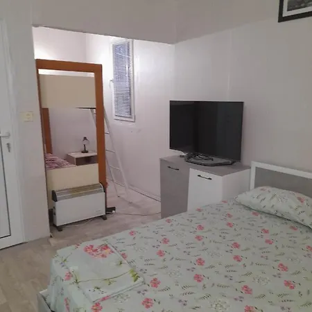 камчия, делфин Campsite Bliznatsi